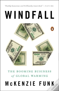 Capa do artigo Windfall