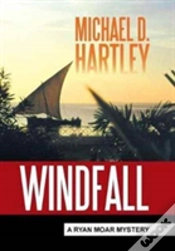 Capa do artigo Windfall