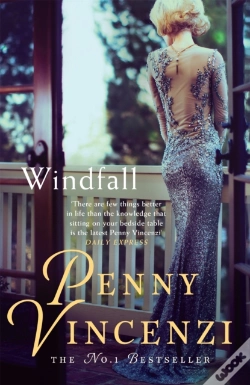 Capa do artigo Windfall