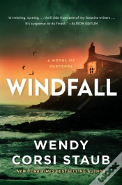 Capa do artigo Windfall