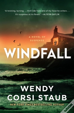 Capa do artigo Windfall