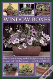 Capa do artigo Window Boxes