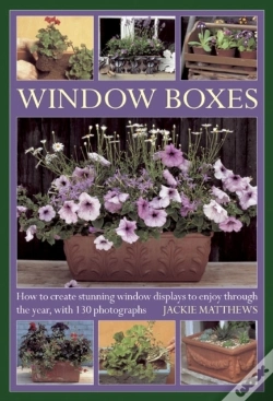 Capa do artigo Window Boxes