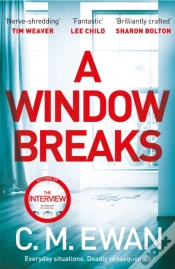 Capa do artigo Window Breaks
