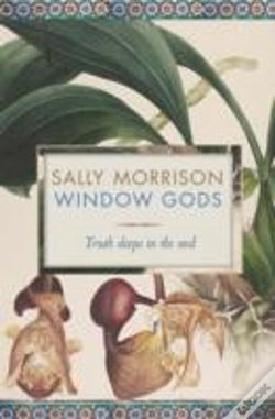 Capa do artigo Window Gods