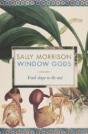 Window Gods - Preview