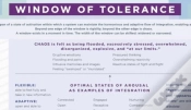 Capa do artigo Window Of Tolerance Laminated Card