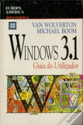 Windows 3.1