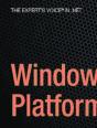 Windows Azure Platform - Preview