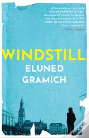 Capa do artigo Windstill
