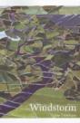Windstorm - Preview