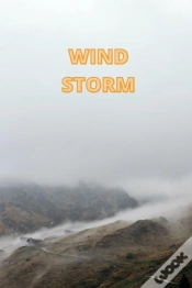 Capa do artigo Windstorm