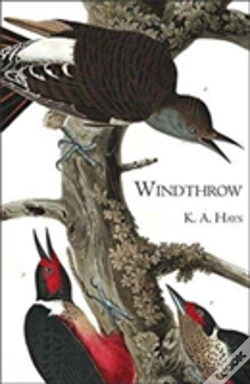 Capa do artigo Windthrow