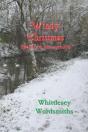 Windy Christmas - Preview