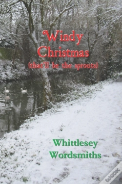 Capa do artigo Windy Christmas