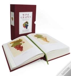 Capa do artigo Wine Grapes