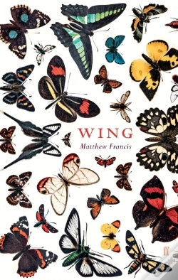 Capa do artigo Wing
