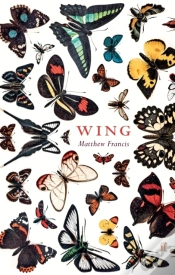 Capa do artigo Wing