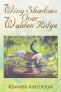 Wing Shadows Over Walden Ridge - Preview
