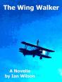Wing Walker - Preview