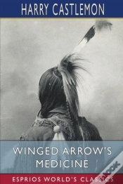 Capa do artigo Winged Arrow