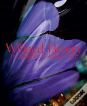 Capa do artigo Winged Beauty