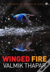 Capa do artigo Winged Fire