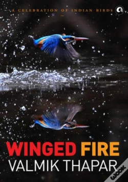 Capa do artigo Winged Fire