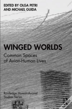 Capa do artigo Winged Worlds