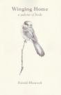 Winging Home - Preview