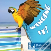 Capa do artigo Winging It!