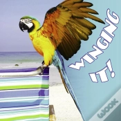 Capa do artigo Winging It!