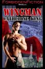 Wingman - Preview