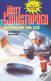 Capa do artigo Wingman On Ice