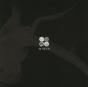 Wings - CD - Preview