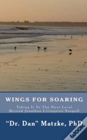 Capa do artigo Wings For Soaring: Taking It To The Next