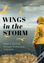 Capa do artigo Wings In The Storm