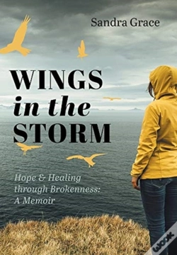 Capa do artigo Wings In The Storm