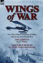 Wings Of War - Preview