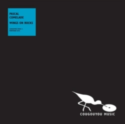 Capa do artigo Wings On Rocks - Vinil