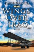 Wings Over Iraq