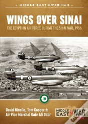 Capa do artigo Wings Over Sinai