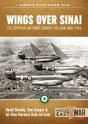 Wings Over Sinai - Preview