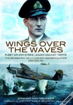 Capa do artigo Wings Over The Waves