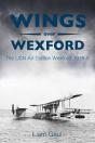 Wings Over Wexford - Preview