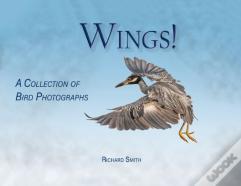 Wings!