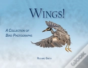 Capa do artigo Wings!