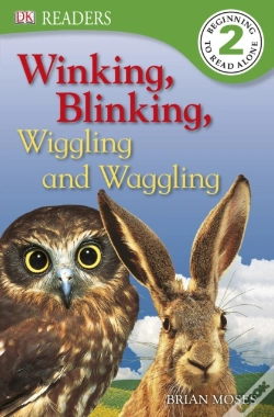 Capa do artigo Winking, Blinking, Wiggling And Waggling