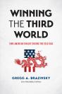 Winning The Third World - Preview