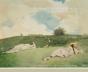 Winslow Homer'S Empire State - Preview